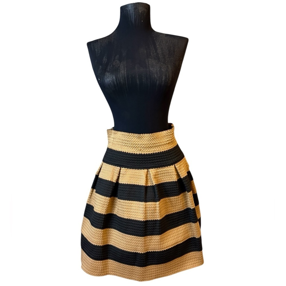 Neslay Designer Stylish Black and Tan Striped Skirt - Picture 9 of 16